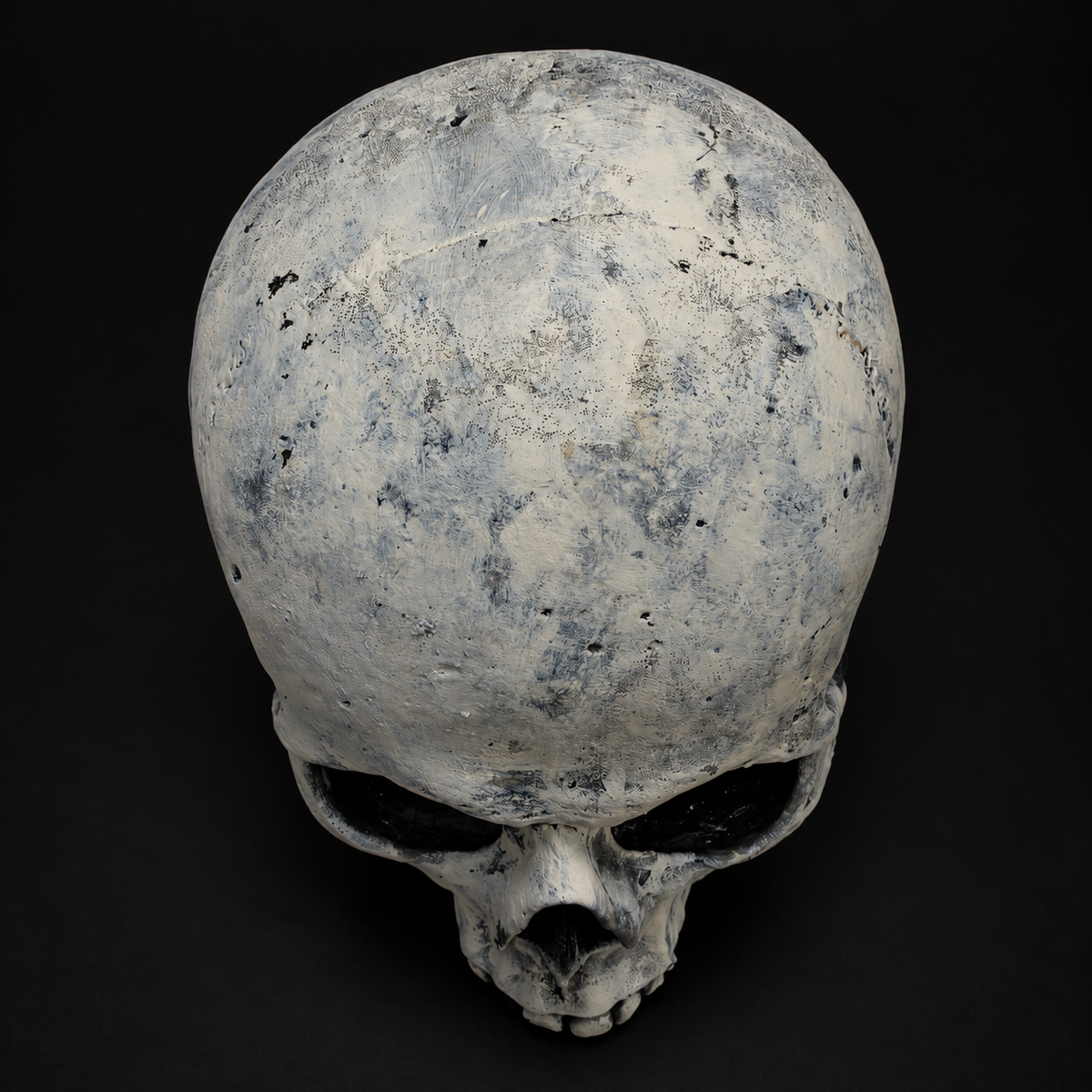 Realistic Human Skull Prop | Gothic Skeleton Halloween Decor